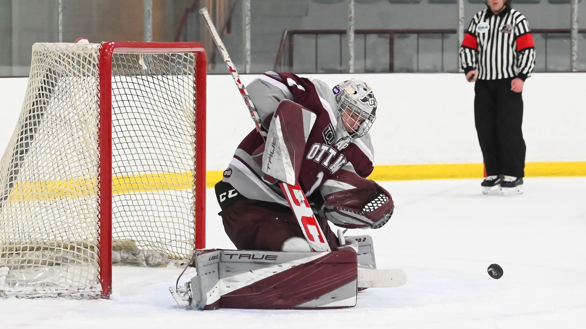 RECAP: Tourigny terrific, men&rsquo;s hockey wins crucial matchup with Gaels as playoffs loom