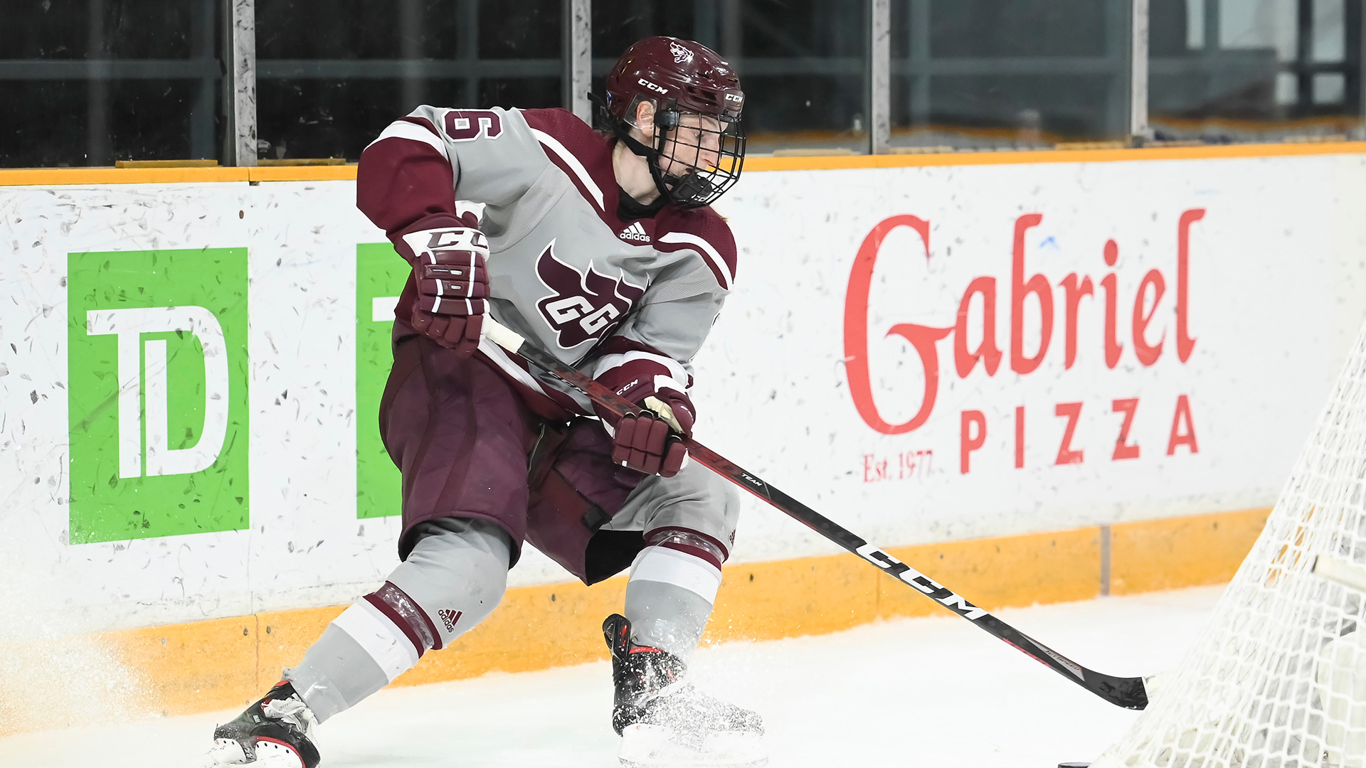 PREVIEW: Women&rsquo;s hockey set for home matchup with Stingers, road game at Bishop&rsquo;s